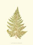 Lowes Fern I-Edward Lowe-Art Print