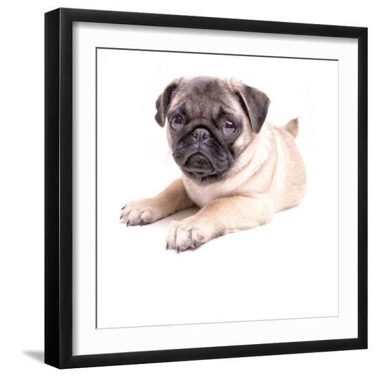 Photographic Print, , large