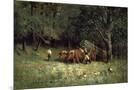 Wood Mount