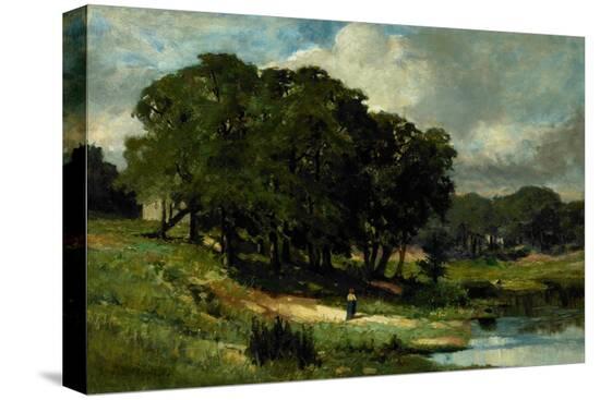 Stretched Canvas Print, , large