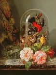 Still Life with Humming Bird in a Glass Dome-Edward Pritchett-Giclee Print