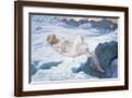Brown Frame