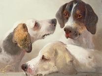 A Study of Hounds-Edward Robert Smythe-Framed Stretched Canvas