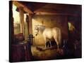 Stretched Canvas
