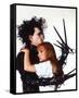 Edward Scissorhands-null-Framed Stretched Canvas