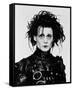 Edward Scissorhands-null-Framed Stretched Canvas