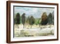 Brown Frame