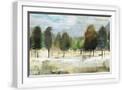 White Frame