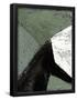 Essential Black