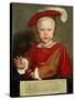 Edward Vi as a Child, C. 1538-Hans Holbein the Elder-Stretched Canvas