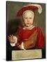 Edward Vi as a Child, C. 1538-Hans Holbein the Elder-Stretched Canvas