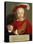 Edward Vi as a Child, C. 1538-Hans Holbein the Elder-Stretched Canvas