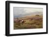 Edward VII at Balmoral-Archibald Thorburn-Framed Photographic Print