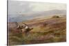 Edward VII at Balmoral-Archibald Thorburn-Stretched Canvas