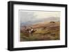 Edward VII Grouse Moor at Balmoral - One of His Favourite Hunting Grounds-null-Framed Photographic Print