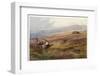 Edward VII Grouse Moor at Balmoral - One of His Favourite Hunting Grounds-null-Framed Photographic Print