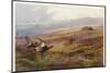 Edward VII Grouse Moor at Balmoral - One of His Favourite Hunting Grounds-null-Mounted Photographic Print