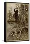 Edward VII, Rackham-Arthur Rackham-Framed Stretched Canvas