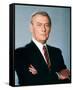 Edward Woodward-null-Framed Stretched Canvas