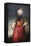 Edward Wortley Montagu (1713 – April 29, 1776)-George Romney-Framed Stretched Canvas