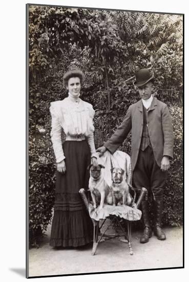 Edwardian Couple with Two Pug Dogs in a Garden-null-Mounted Photographic Print
