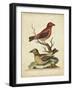 Edwards Cross Bills-George Edwards-Framed Art Print