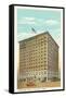 Edwards Hotel, Jackson, Mississippi-null-Framed Stretched Canvas