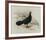 Edwards Pheasant-R Digby-Framed Premium Giclee Print