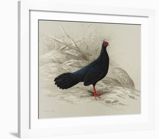 Edwards Pheasant-R Digby-Framed Premium Giclee Print