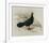 Edwards Pheasant-R Digby-Framed Premium Giclee Print