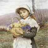 Spring Flowers-Edwin Bale-Framed Stretched Canvas