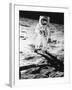 Edwin E. Aldrin Jr. Walks the Moon-null-Framed Photographic Print