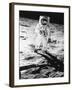 Edwin E. Aldrin Jr. Walks the Moon-null-Framed Photographic Print