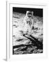 Edwin E. Aldrin Jr. Walks the Moon-null-Framed Photographic Print