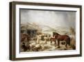 Brown Frame