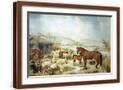 Brown Frame