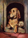 Portrait of a Terrier-Edwin Henry Landseer-Framed Giclee Print