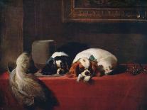 'The Sick Monkey', 1875, (1912)-Edwin Henry Landseer-Stretched Canvas