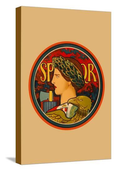 Stretched Canvas Print, , large