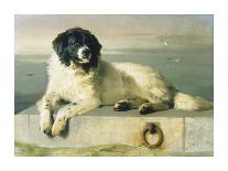 The Twa Dogs-Edwin Landseer-Giclee Print