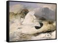Canvas Black