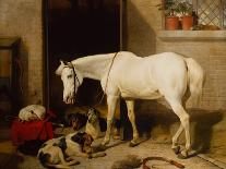 Waiting for the Master-Edwin Landseer-Giclee Print