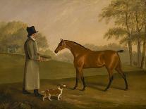 Bay Hunter and a terrior outside a stable, 1805-Edwin W. Cooper-Giclee Print