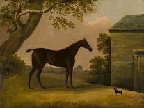 A Horse in a Landscape with the Groom, David, Bennet, 1805-Edwin W. Cooper-Stretched Canvas