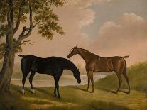 A Horse in a Landscape with the Groom, David, Bennet, 1805-Edwin W. Cooper-Stretched Canvas