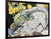 Eeastern Collared Lizard (Crotaphytus Collaris), Crotaphytidae-null-Framed Giclee Print