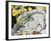 Eeastern Collared Lizard (Crotaphytus Collaris), Crotaphytidae-null-Framed Giclee Print