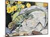 Eeastern Collared Lizard (Crotaphytus Collaris), Crotaphytidae-null-Mounted Giclee Print