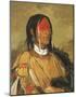 Eeh-tow-wees-ka-zeet - He Who Has Eyes Behind Him-George Catlin-Mounted Premium Giclee Print