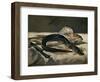 Eel and Red Mullet, 1864-Edouard Manet-Framed Premium Giclee Print